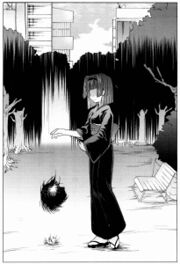 Kaze no Stigma vol 02 227.jpg