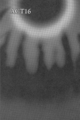Thumbnail for version as of 15:22, 2 March 2010