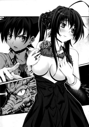 High school dxd v5 223.jpg